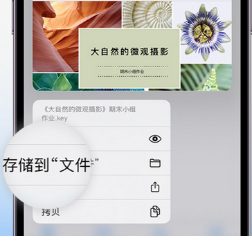 珠山apple维修中心分享iPhone文件应用中存储和找到下载文件