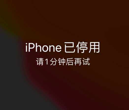 珠山苹果手机维修分享:iPhone 显示“不可用”或“已停用”怎么办？还能保留数据吗？ 