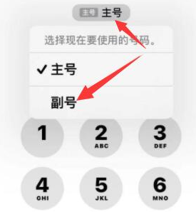 珠山苹果14维修店分享iPhone 14 Pro Max使用副卡打电话的方法 