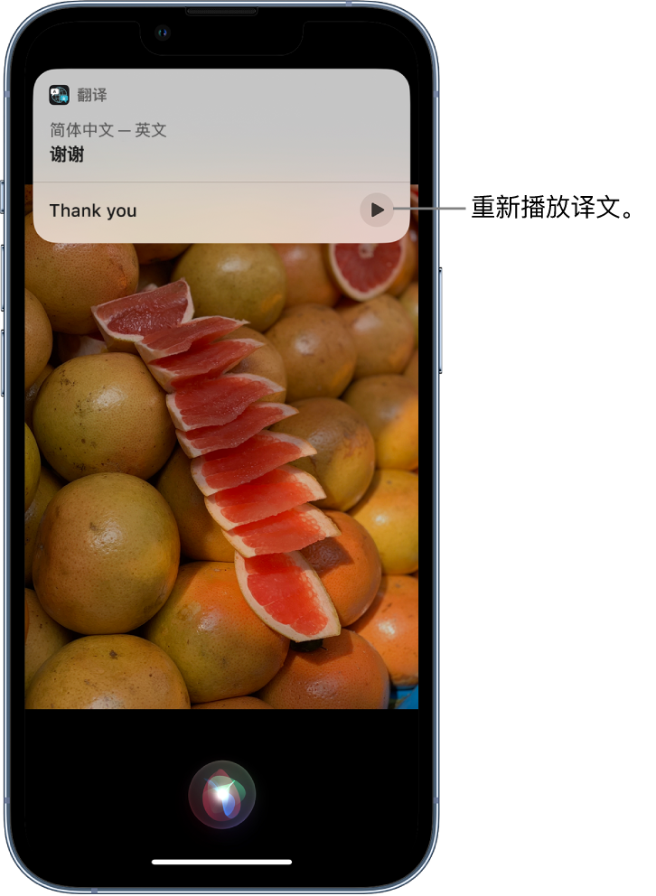 珠山苹果14维修分享 iPhone 14 机型中使用 Siri：了解 Siri 能帮你做什么 