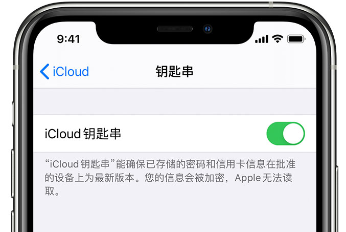 珠山苹果手机维修分享在 iPhone 上开启 iCloud 钥匙串之后会储存哪些信息 