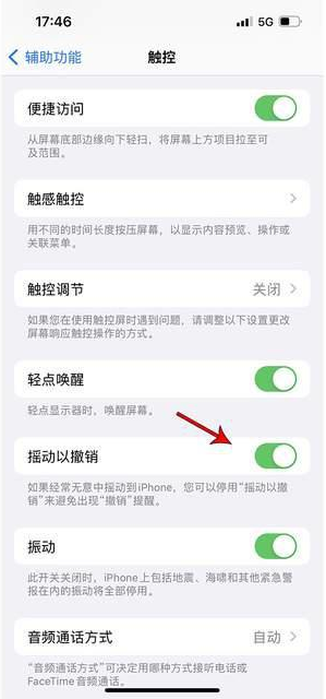 珠山苹果手机维修分享iPhone手机如何设置摇一摇删除文字 